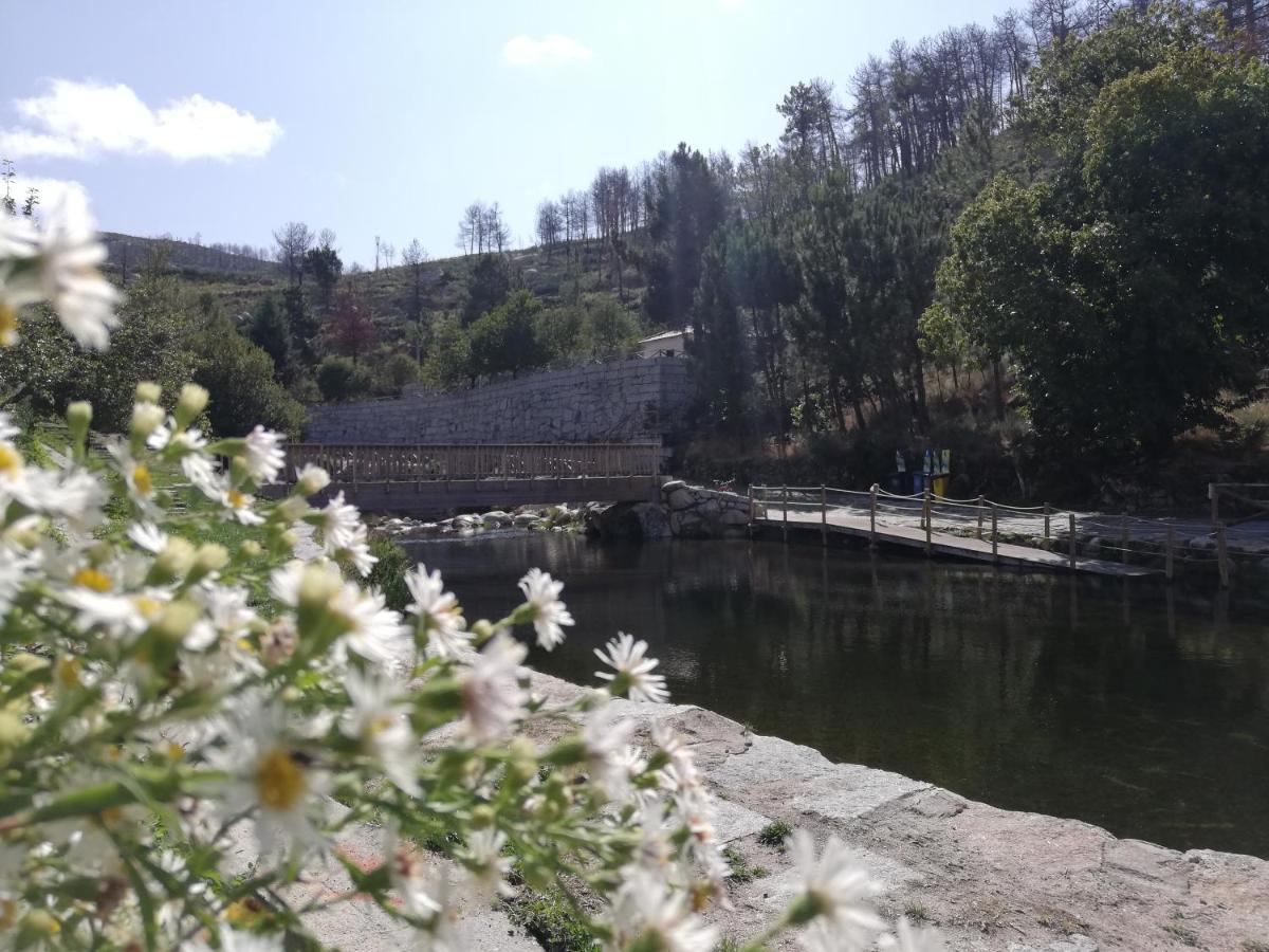 Sambuc'Asa - Serra Da Estrela Affittacamere Sabugueiro  Esterno foto
